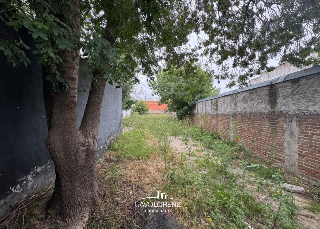 Juan B.Justo 1164 - Lote con local en inmejorable zona comercial